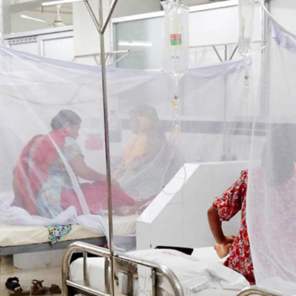 ডেঙ্গুতে ১ জনের মৃত্যু, হাসপাতালে ভর্তি ১৬