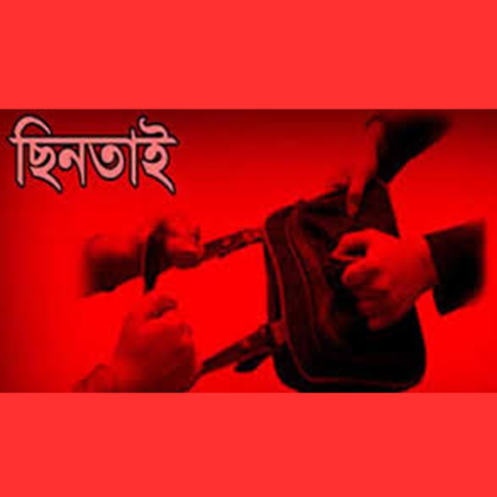 মোবাইল ছিনতাইকারীকে ধরে পুলিশে দিলো তরুণী